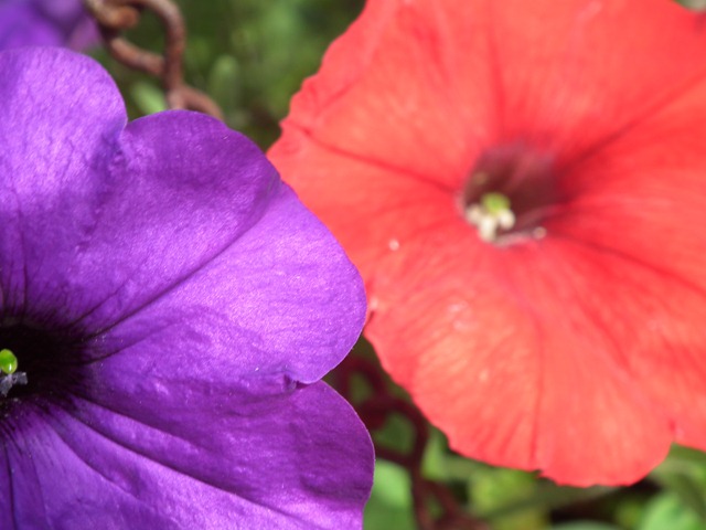 DSCF9281