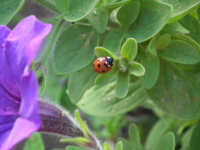 DSCF9282