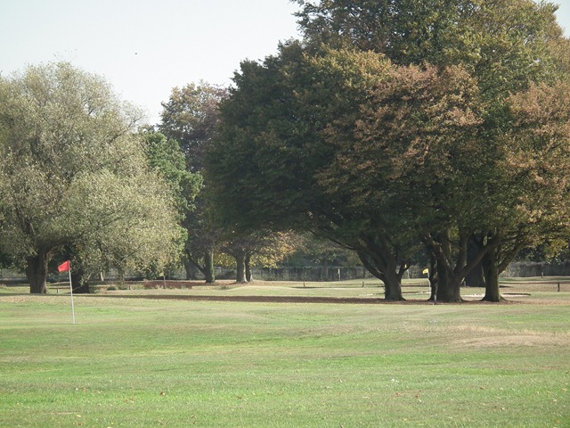 DSCF1210