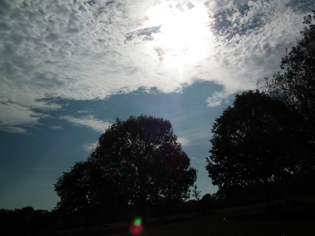 DSCF1212