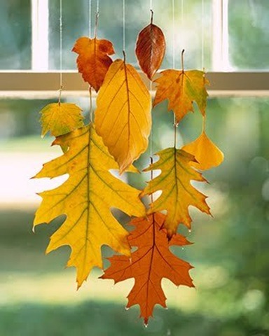 leaves leaves