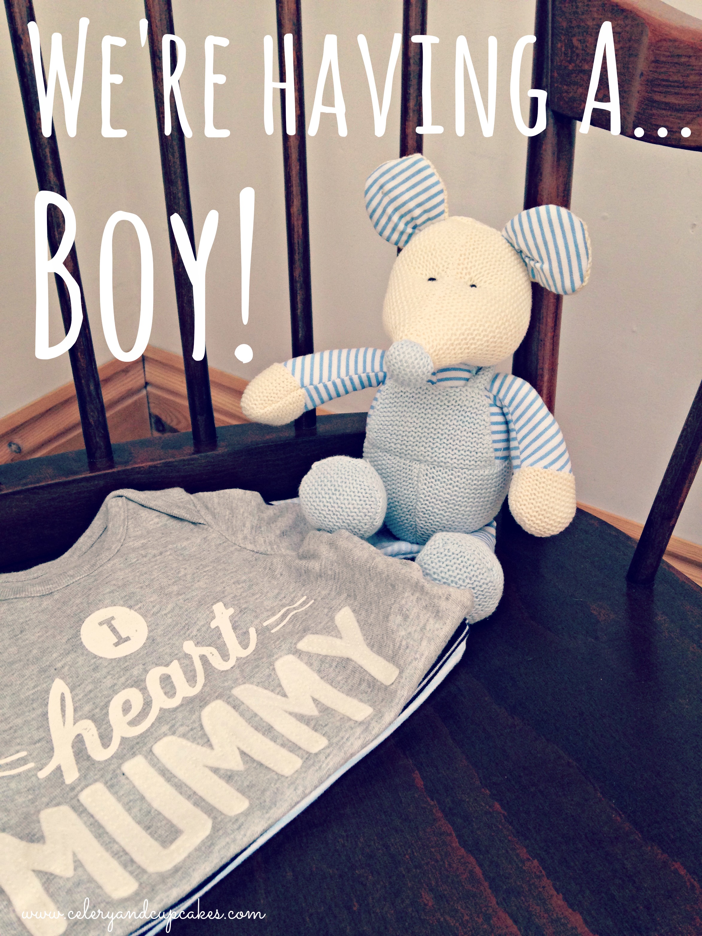 gender reveal