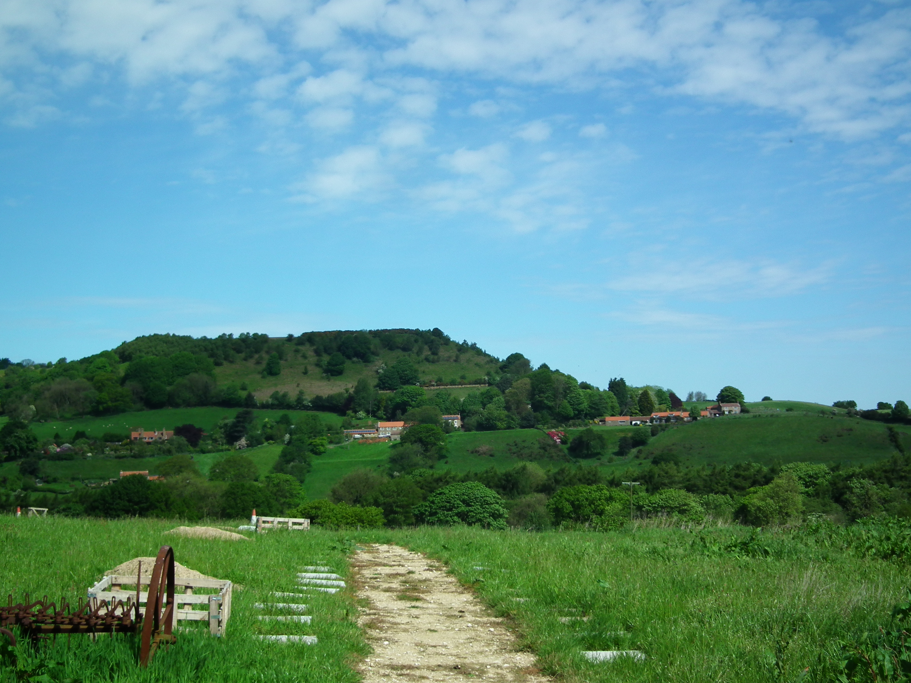 DSCF4937