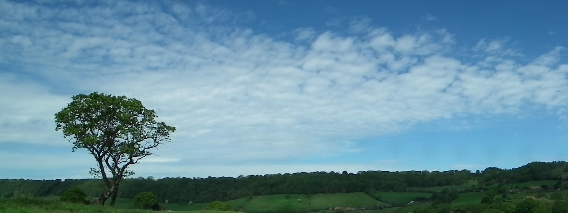 DSCF4939