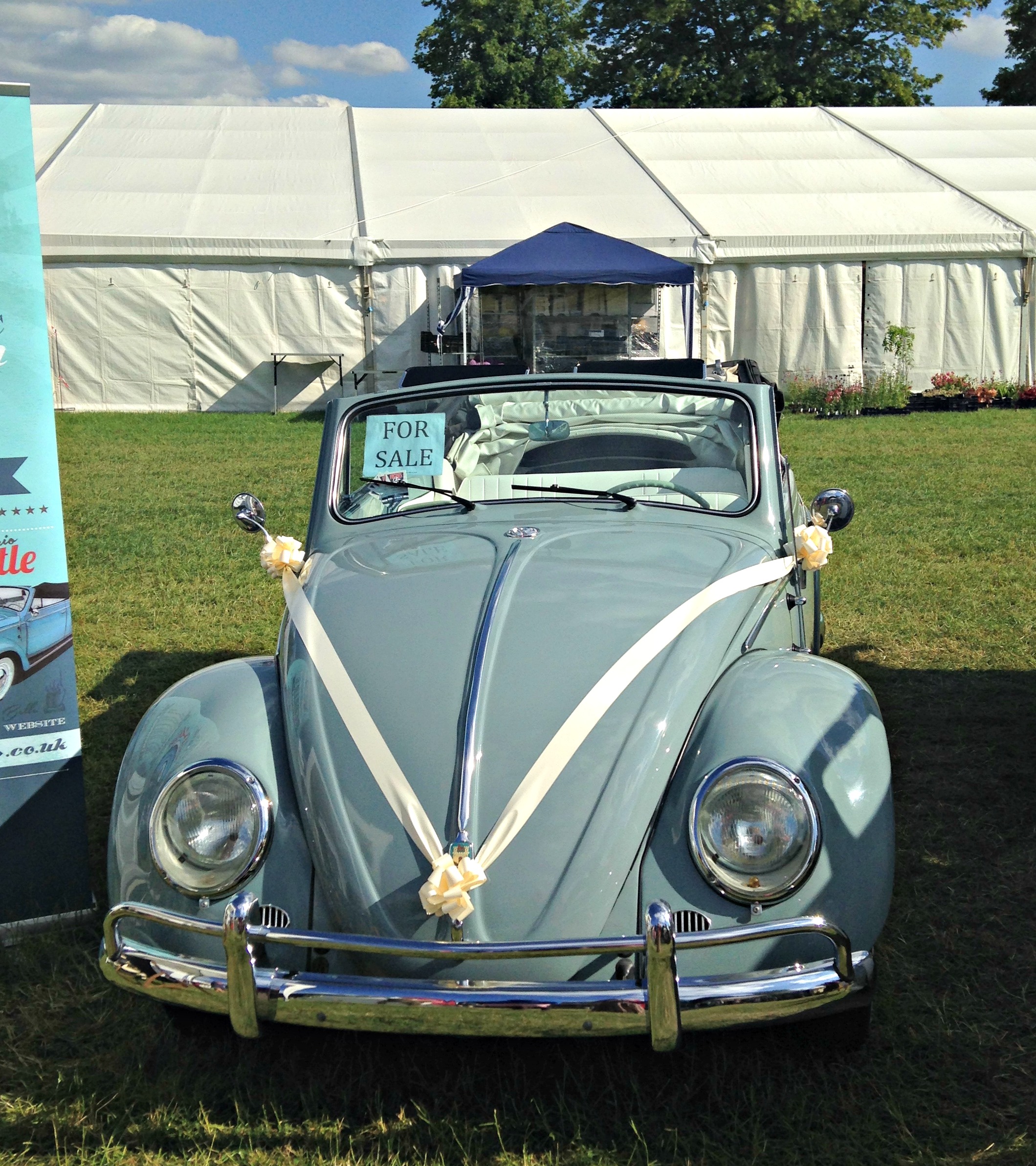 beetle