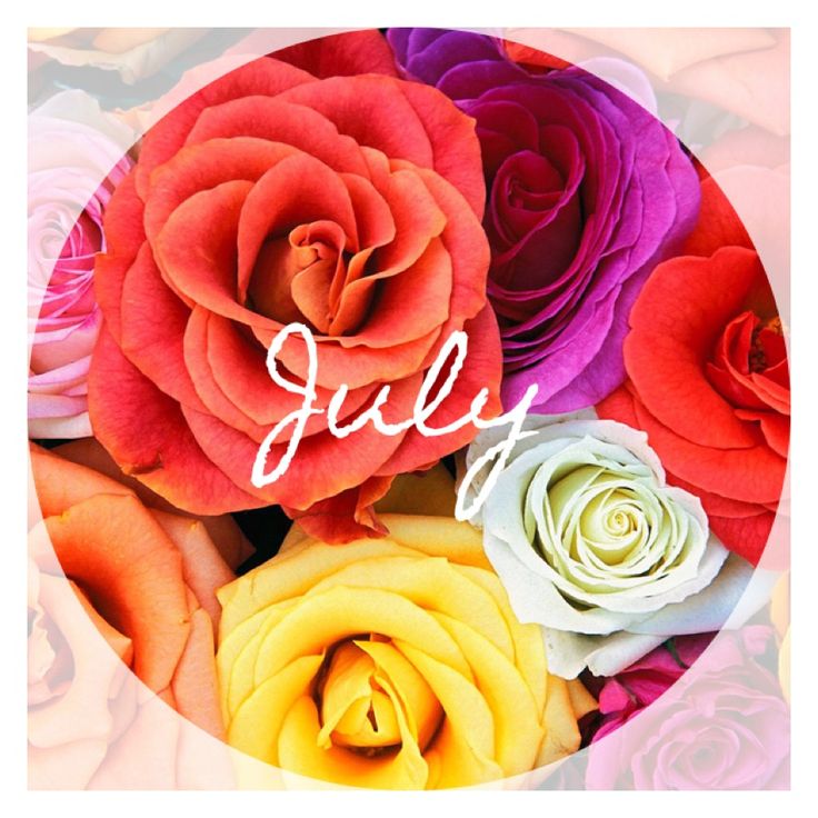july