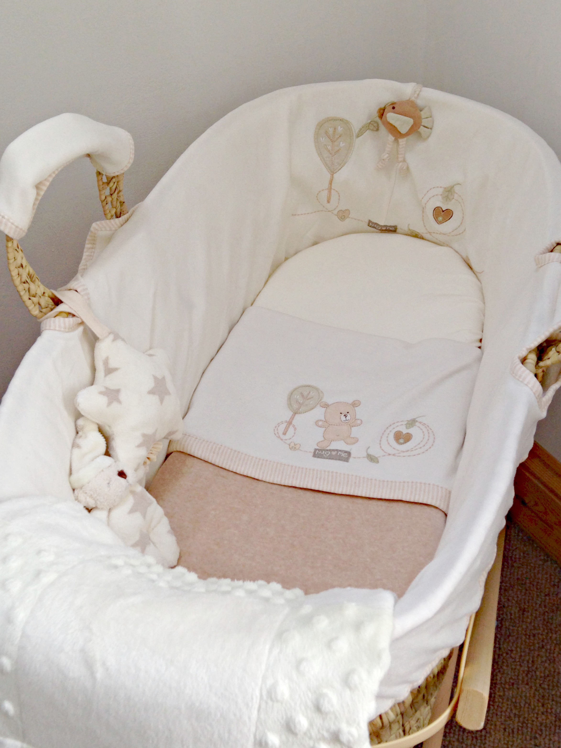 Moses basket