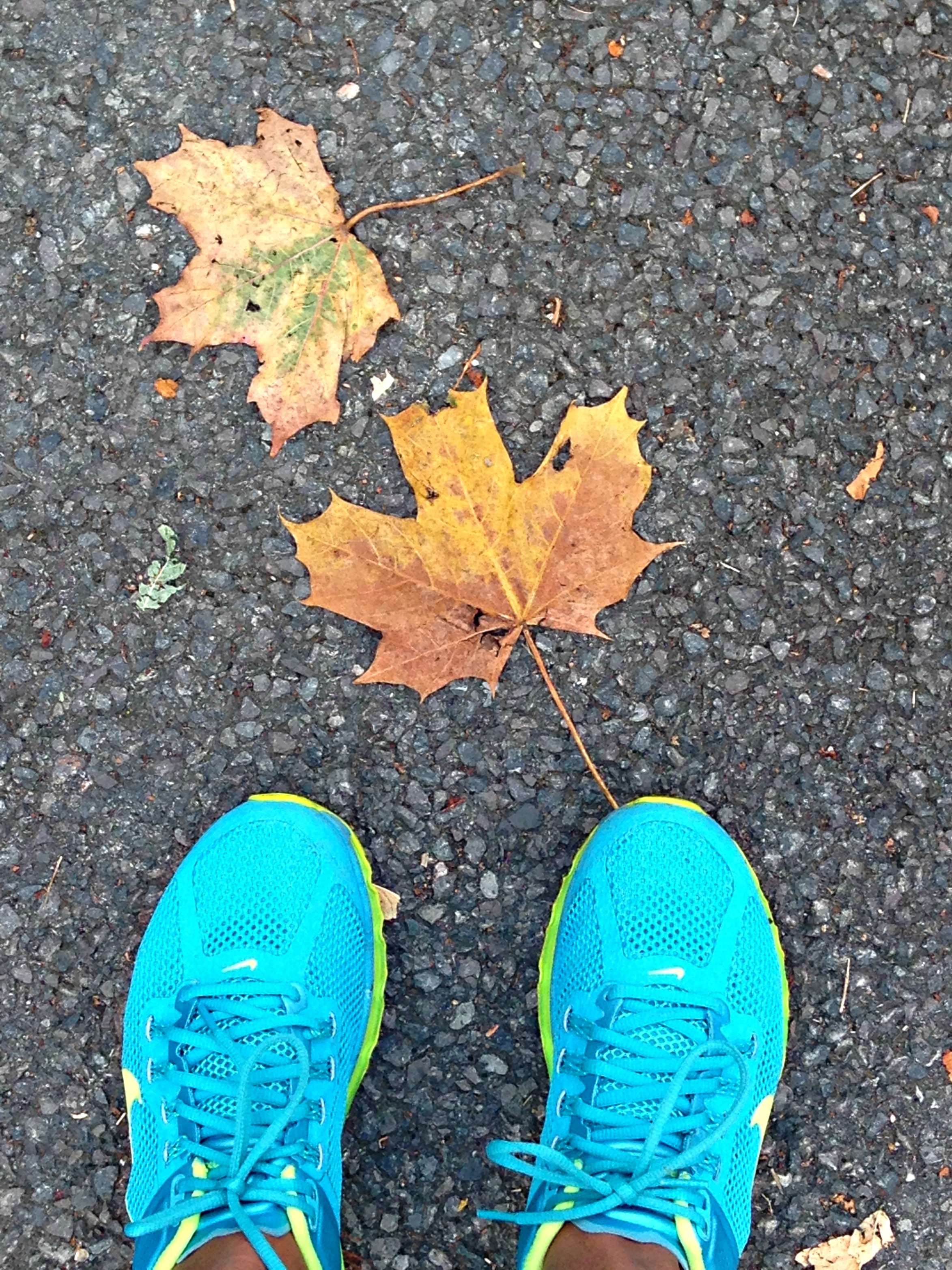 autumn fitness