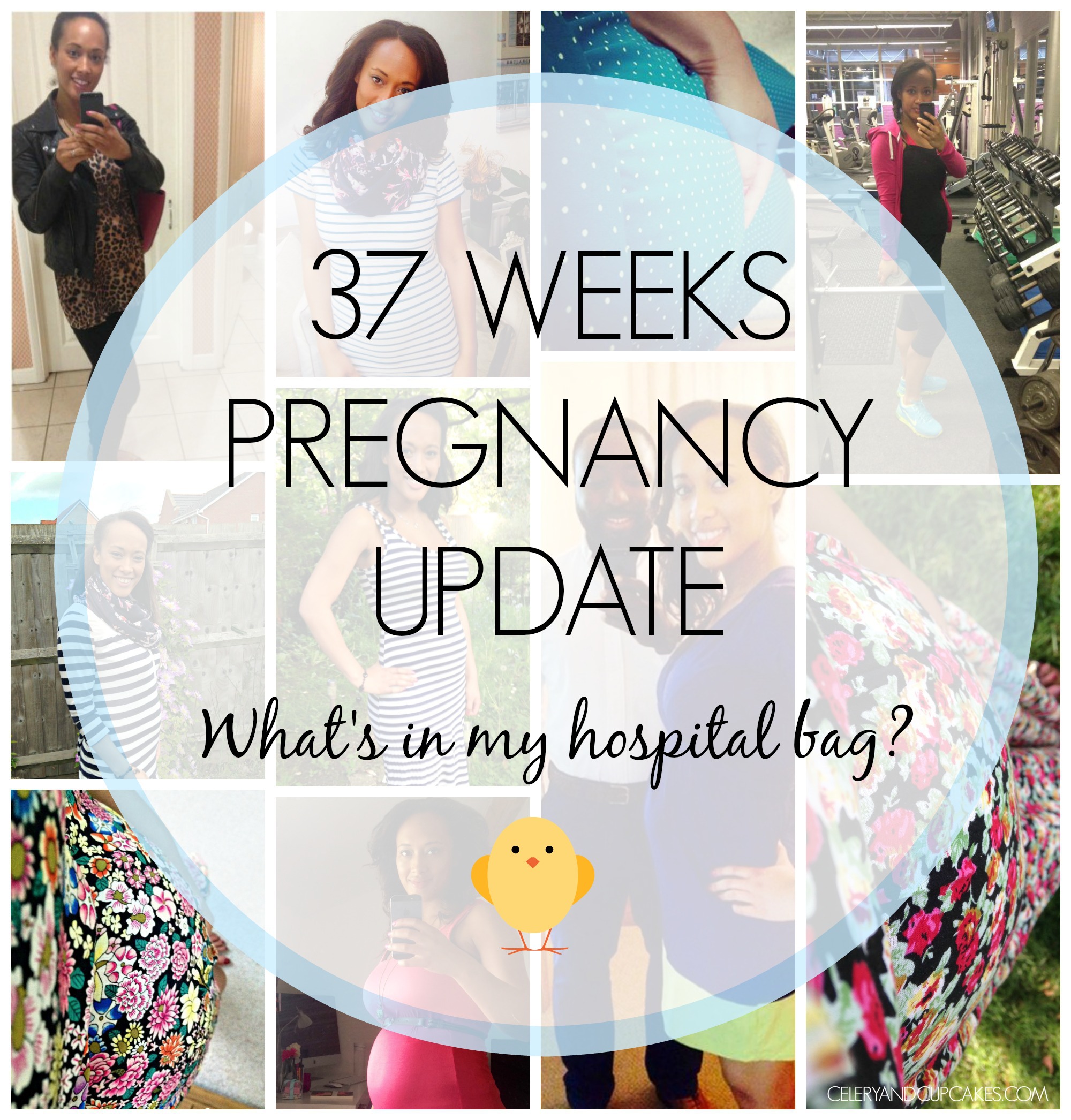 pregnancy update 37 weeks