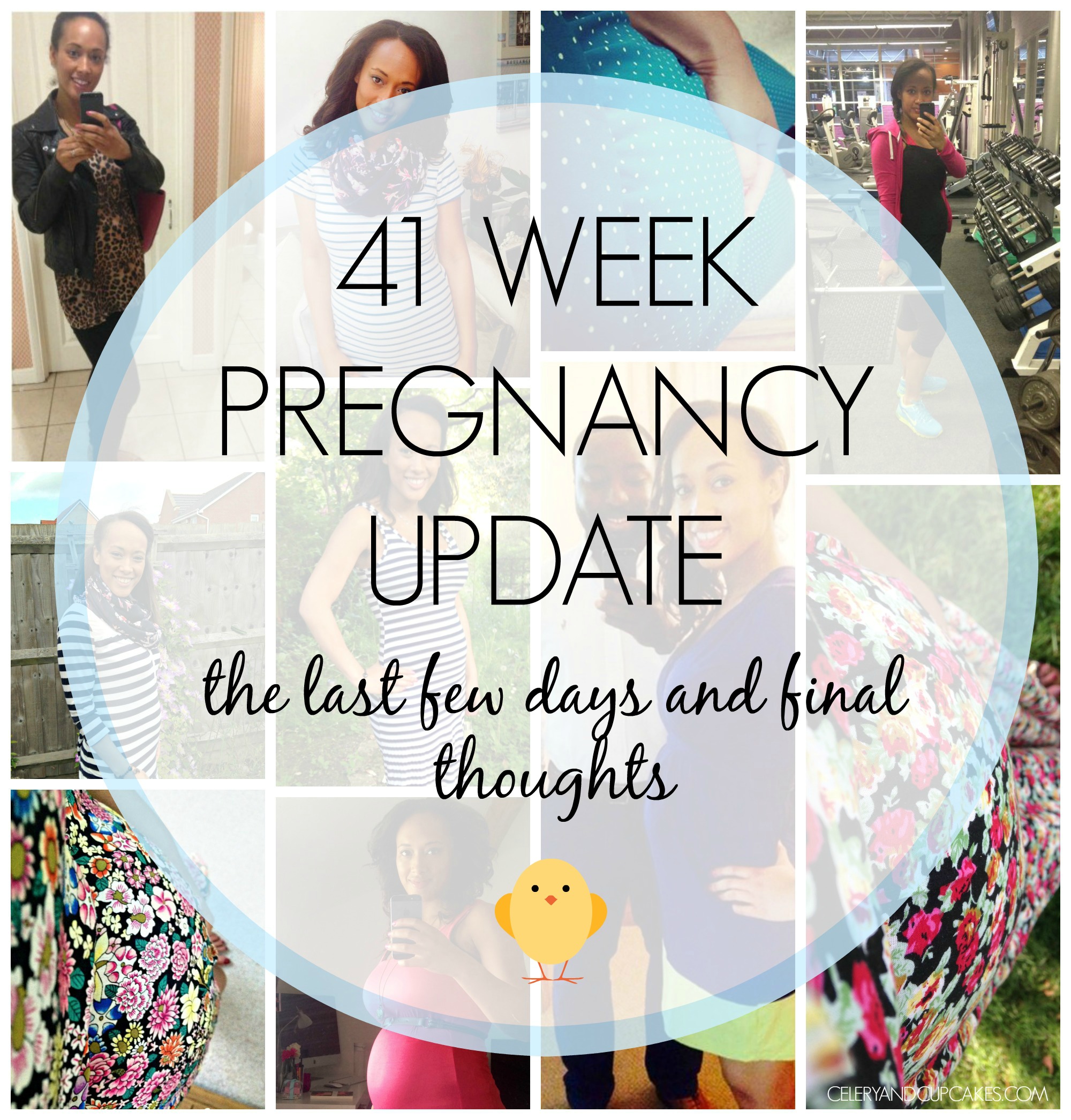 41 week pregnancy update cover