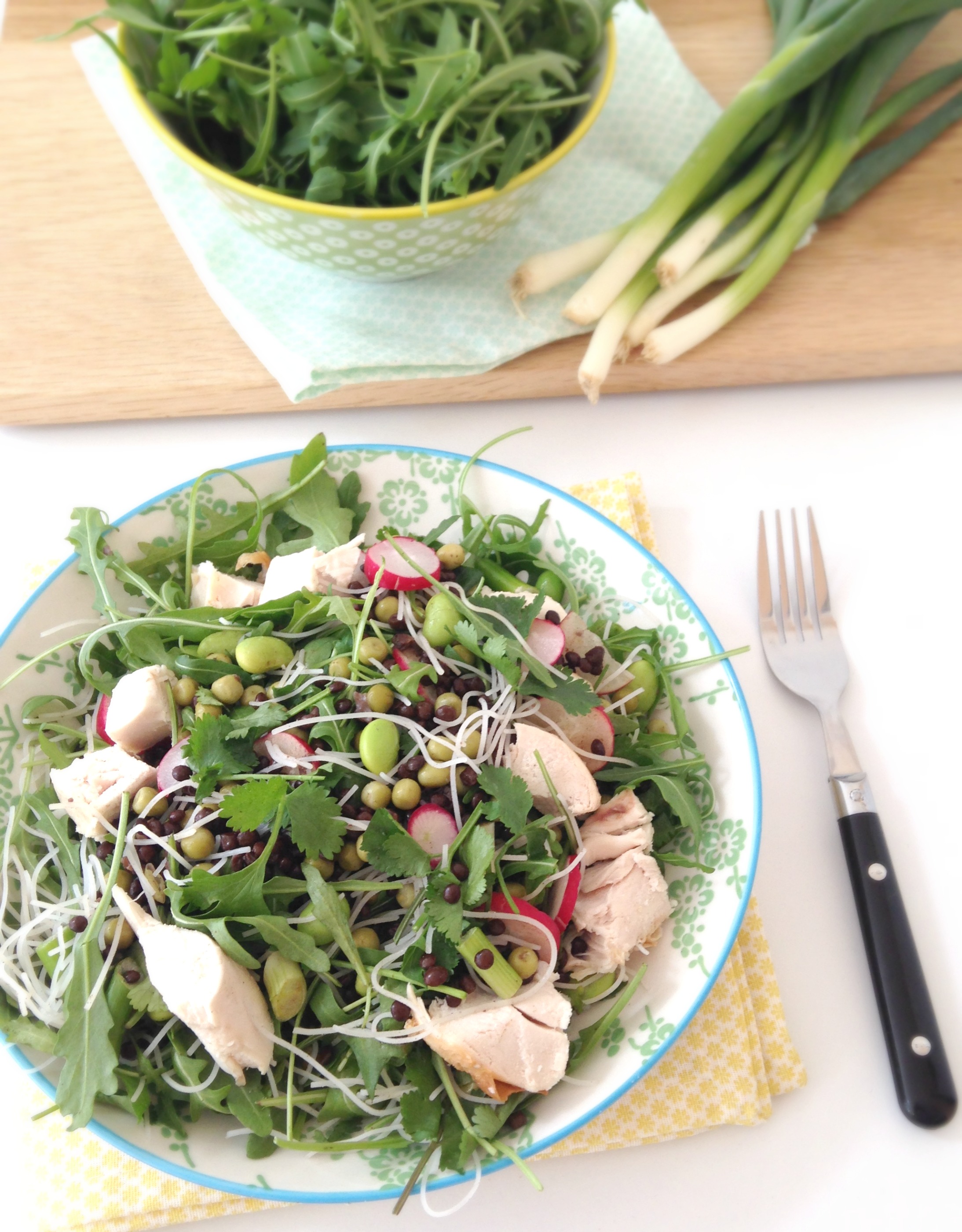 Chicken Rice Noodle Salad 2 (1)
