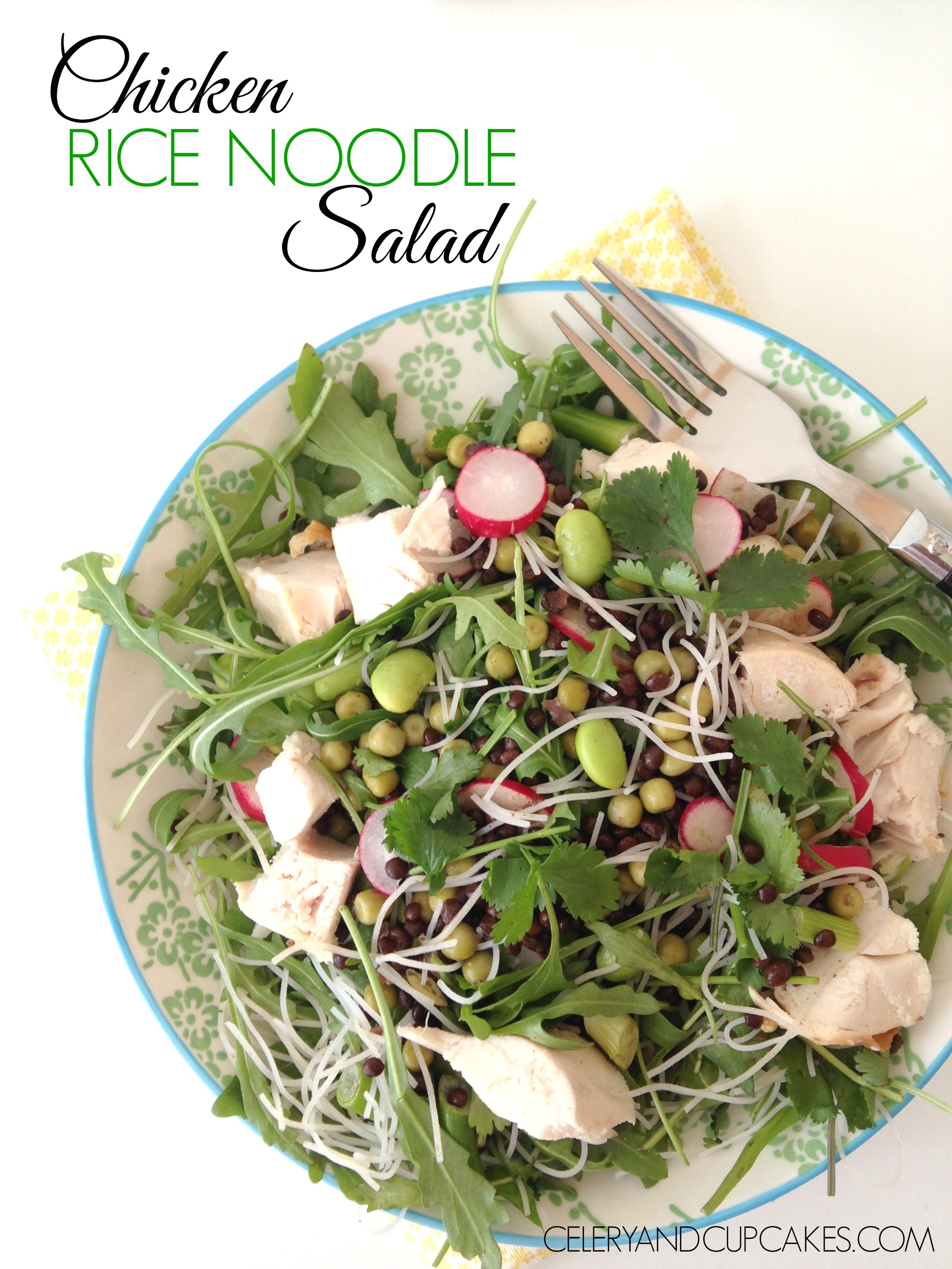 Chicken Rice Noodle Salad Title