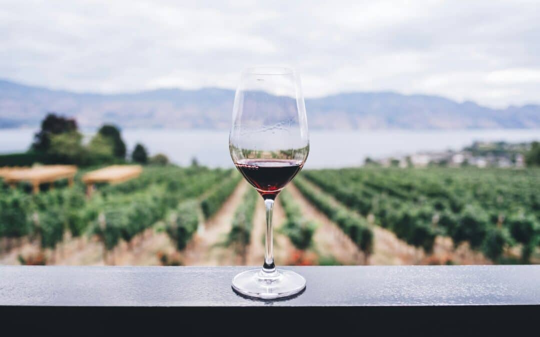 Why Dates Over Wine Create Stronger Connections Than Coffee Dates