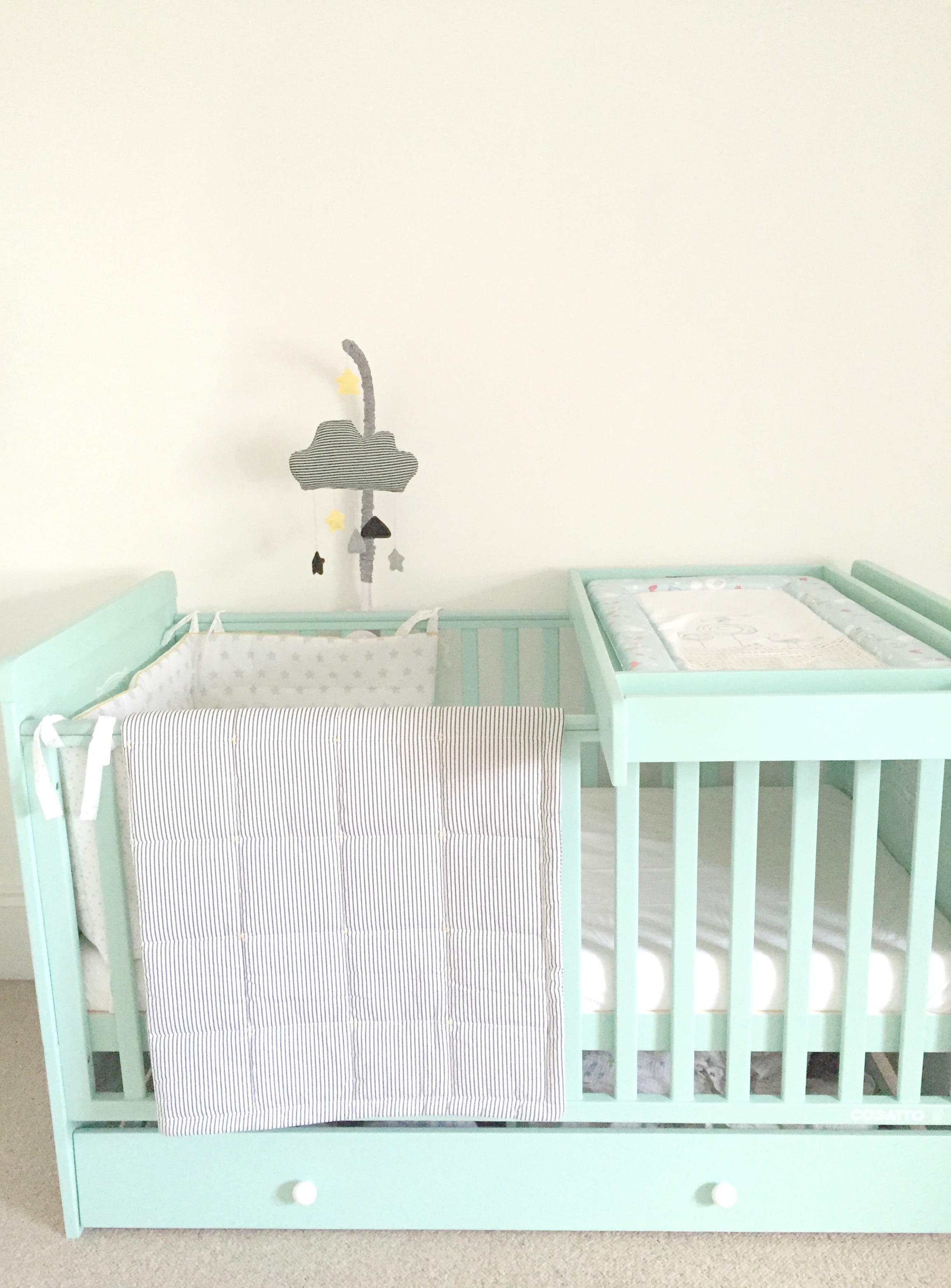 owlet 1