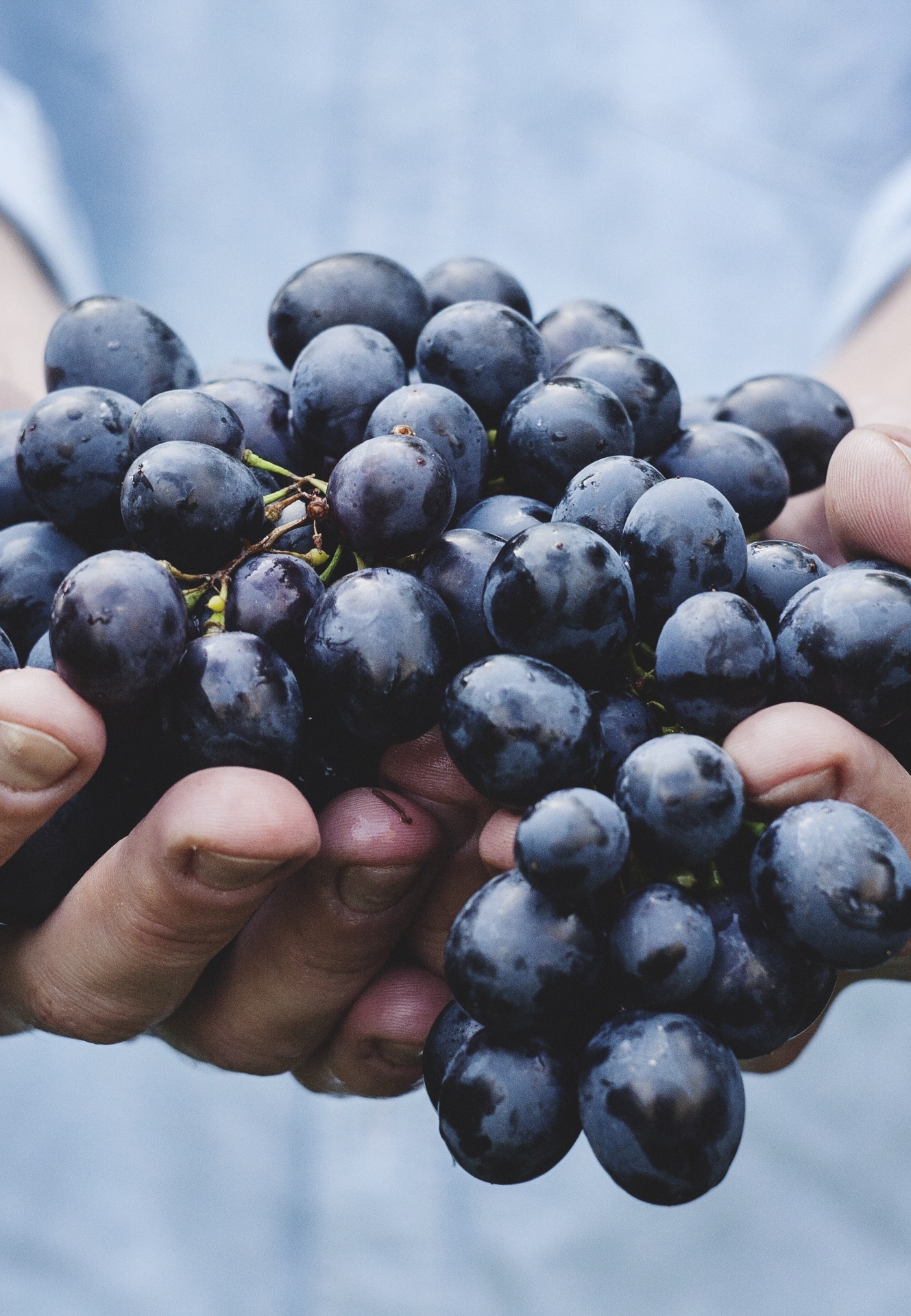 Simple Changes To Become A Healthier & Happier You