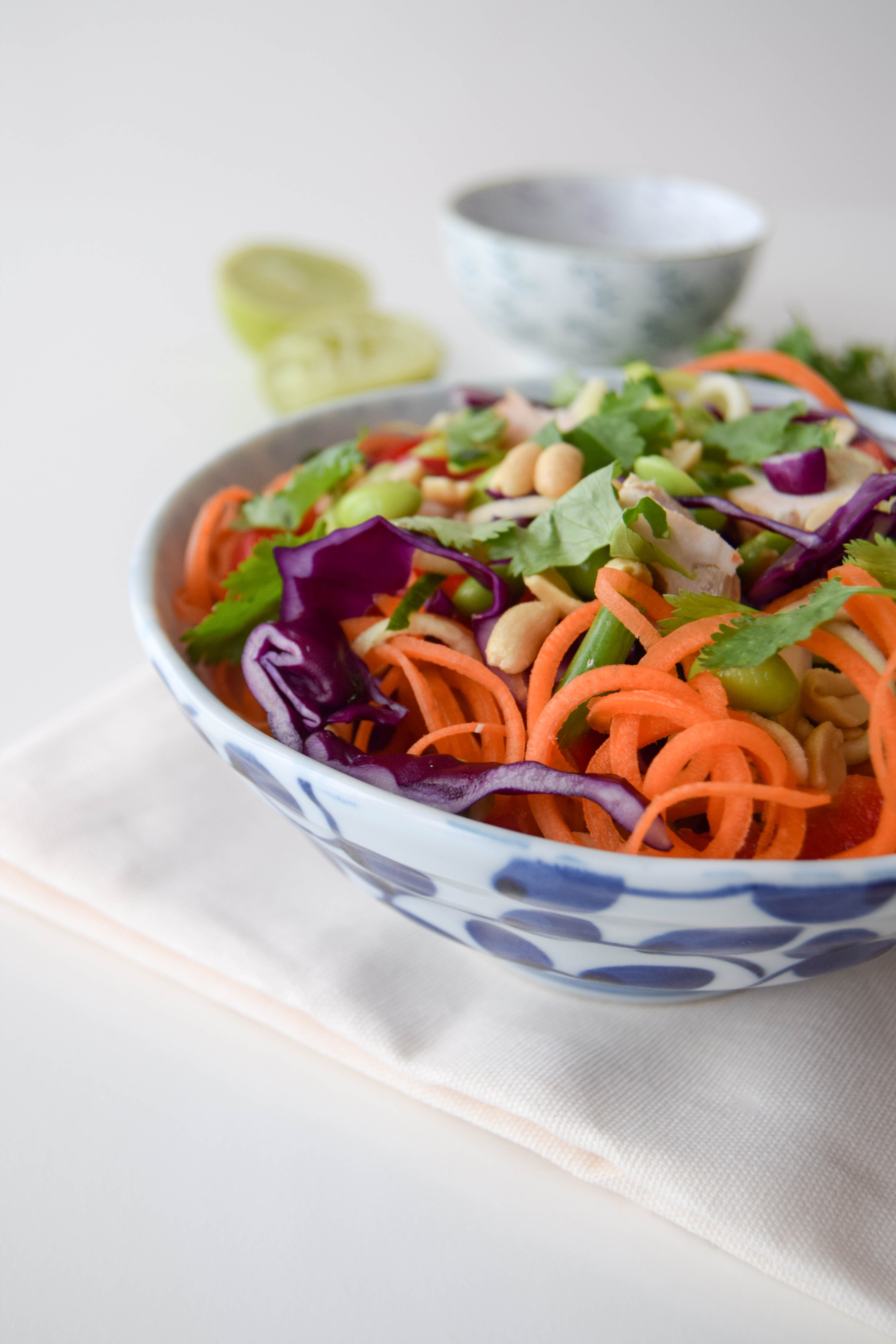 A vibrant mix of colours not only looks stunning on your plate, but you are also getting a powerhouse of nutrition in your meals too. Try this flavoursome chicken pad thai for a wholesome dinner idea. A vibrant mix of colours not only looks stunning on your plate, but you are also getting a powerhouse of nutrition in your meals too. Try this flavoursome chicken pad thai for a wholesome dinner idea.
