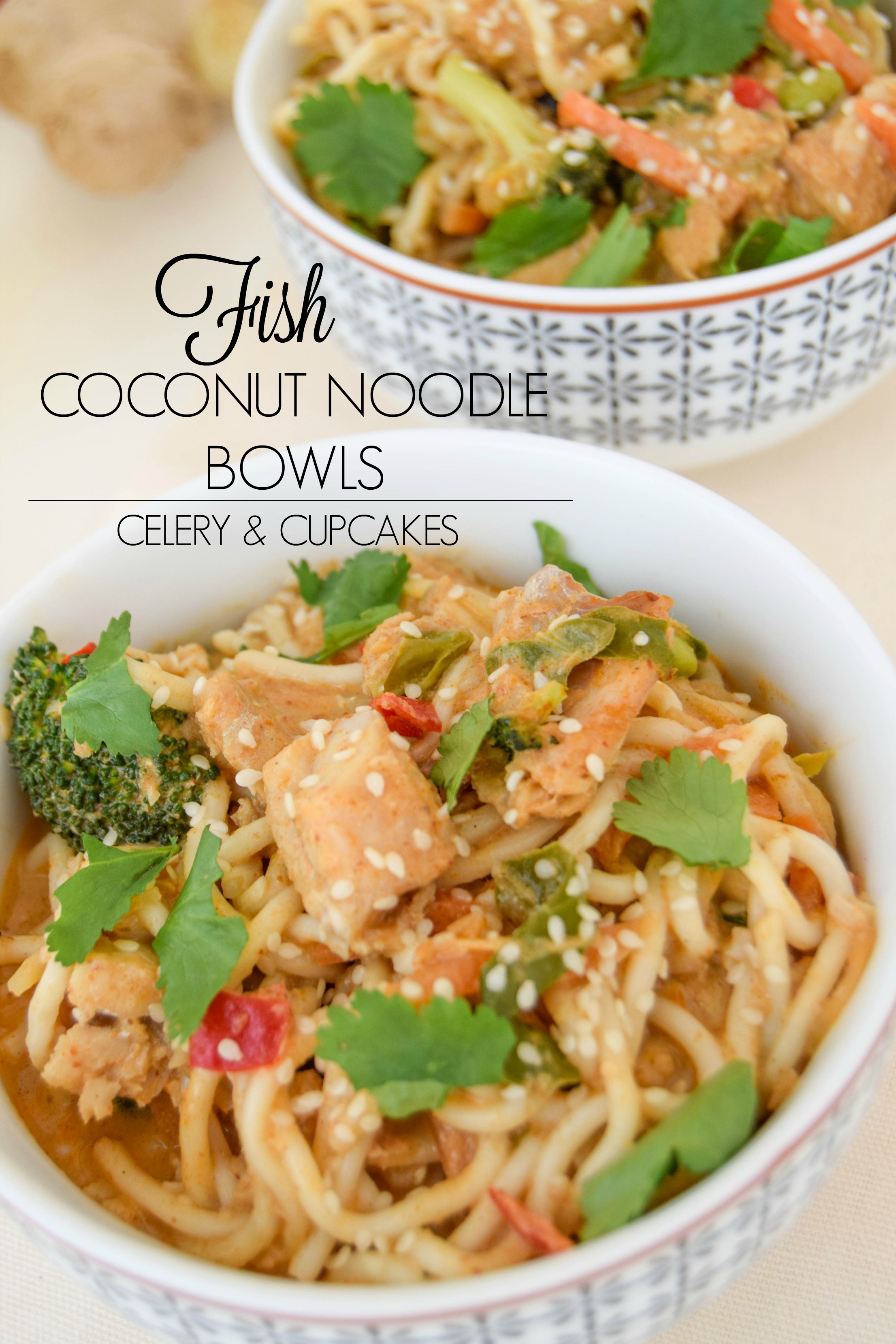 Fish Coconut Noodle Bowls TITLE