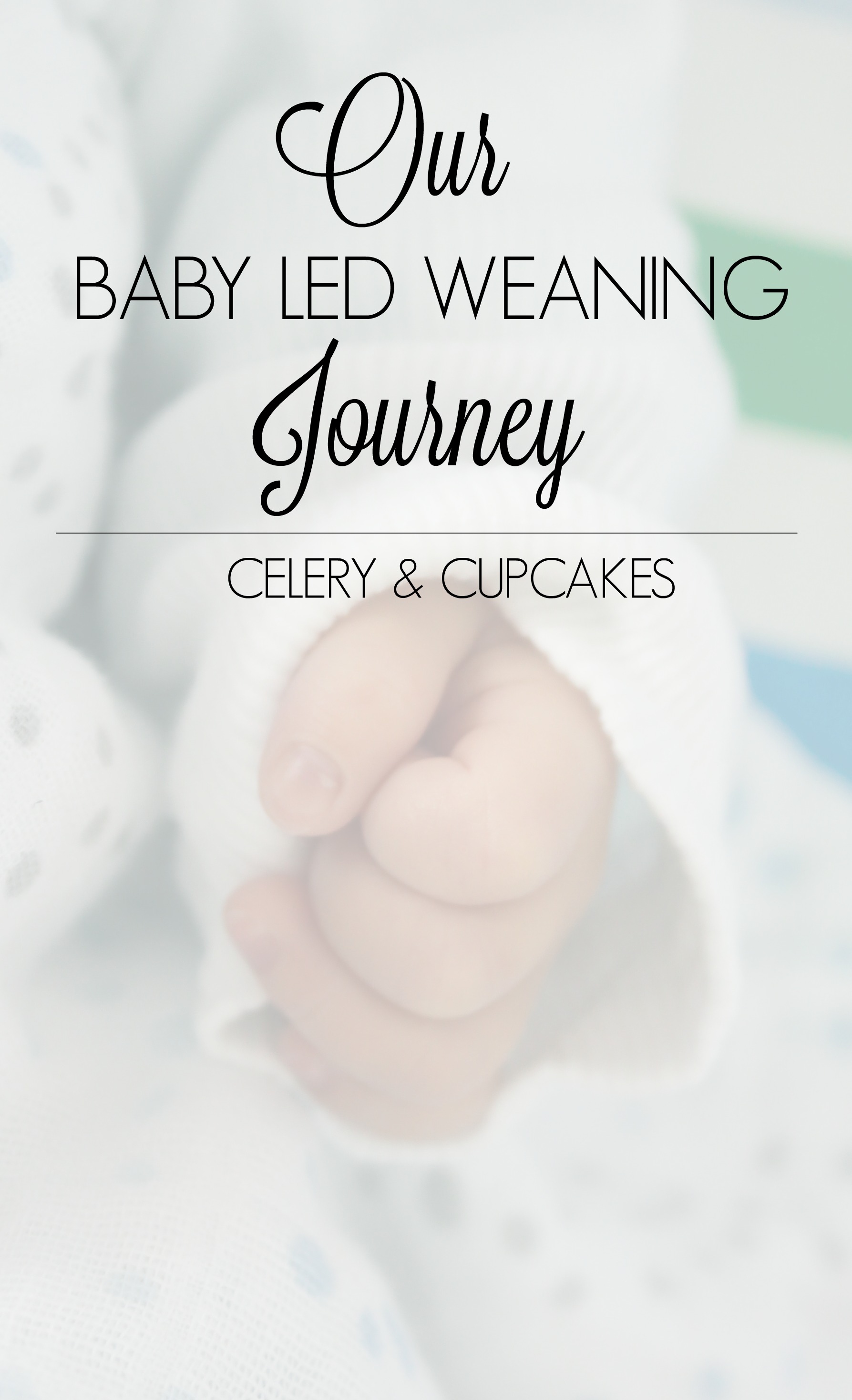 Baby led weaning