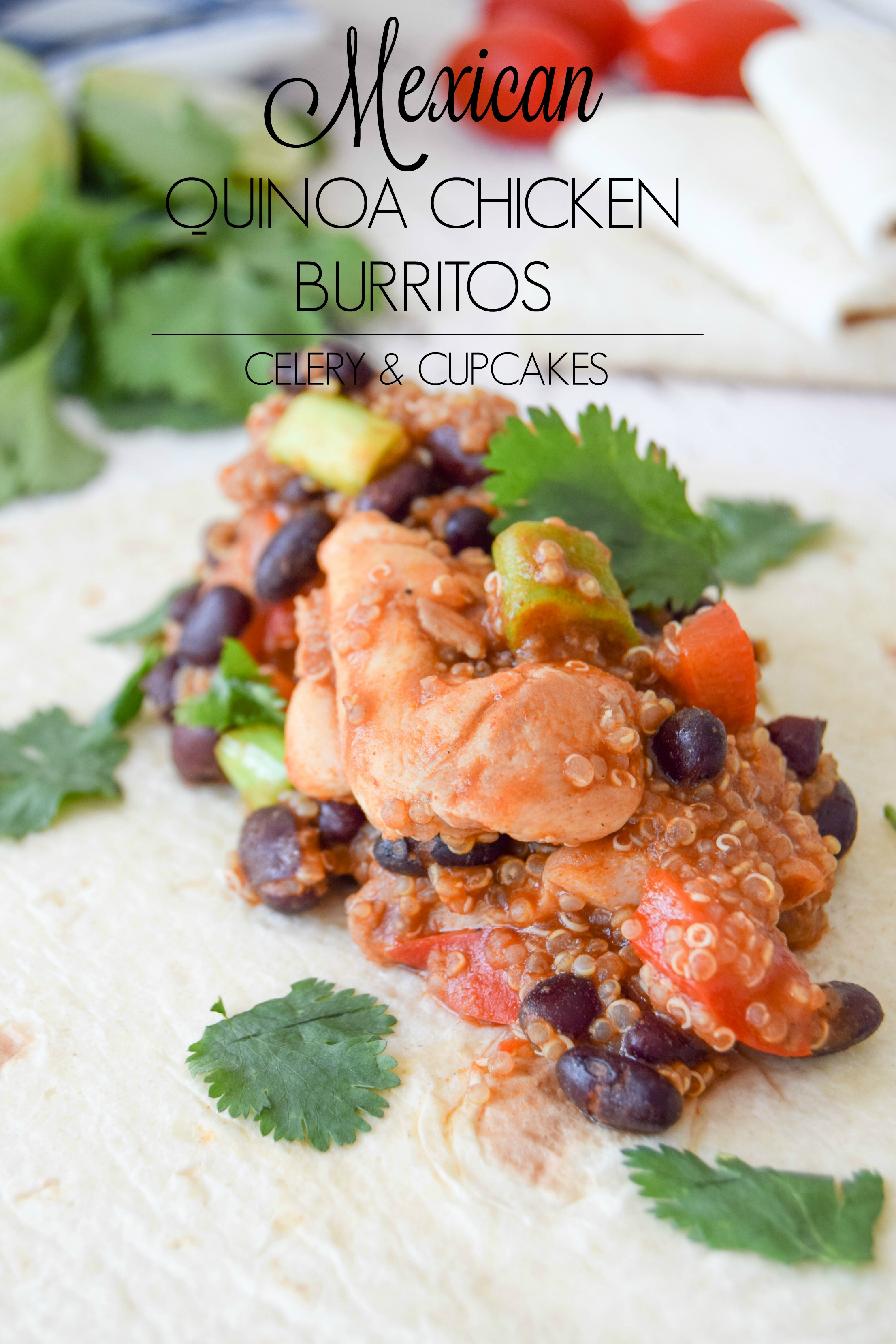 Mexican Quinoa & Chicken Burritos TITLE