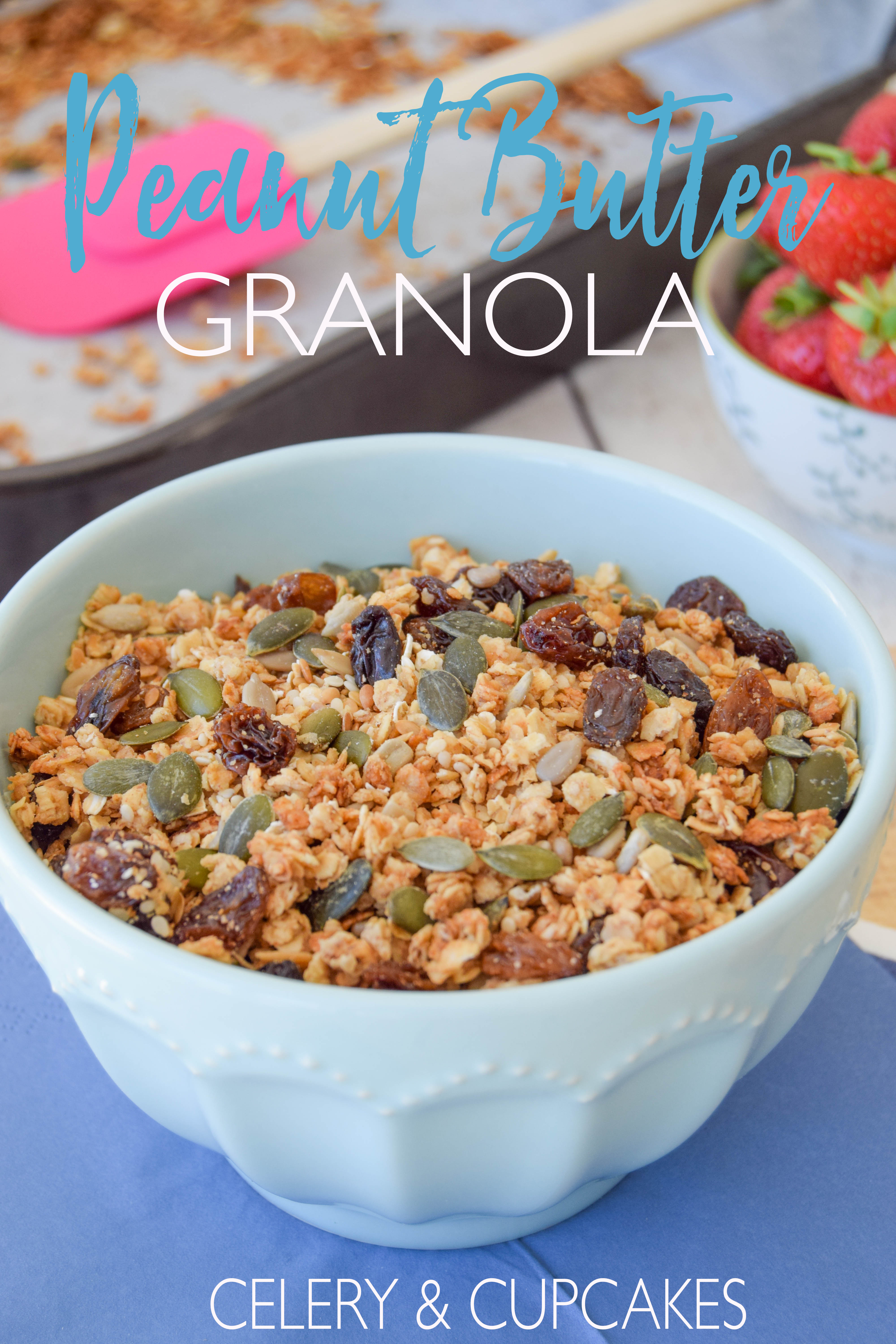Peanut Butter Granola 5 (1 of 1) copy