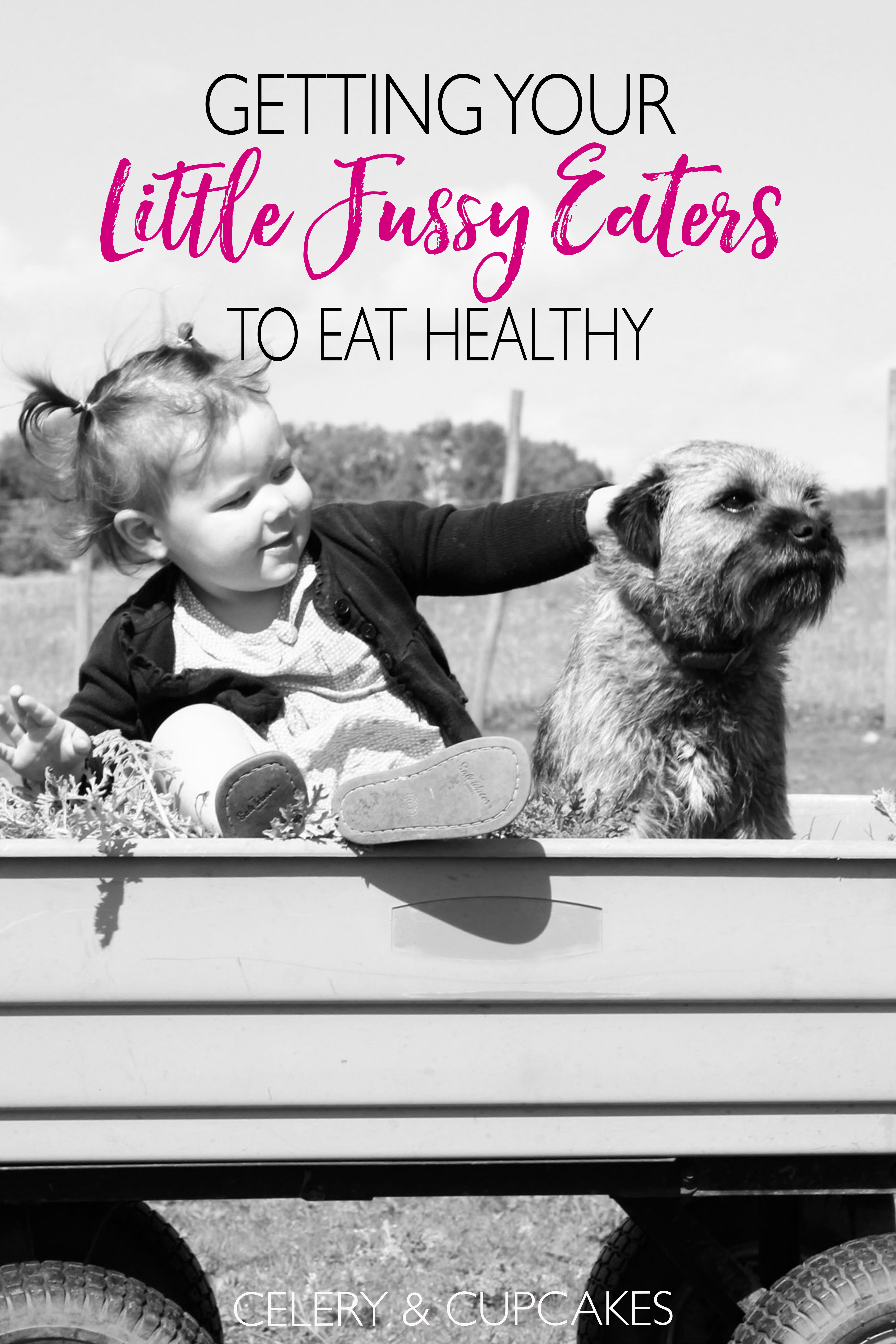 If you're struggling to get your little ones to eat their greens then get these sneaky and clever tips to get your fussy eaters to eat more veggies!