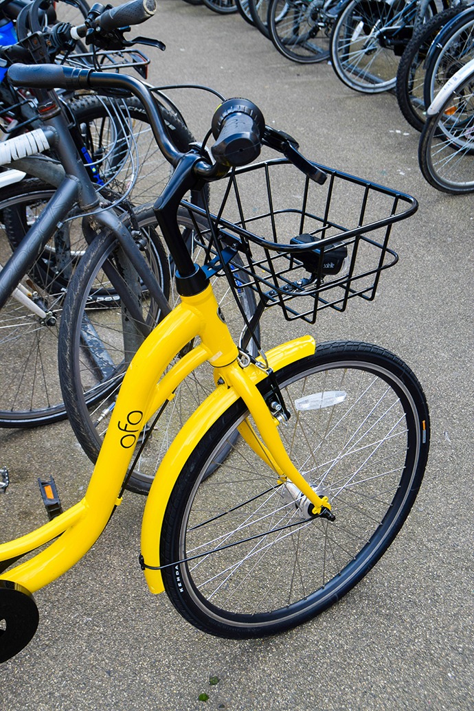 Discover Oxford see the sights and all it has to offer by cycling around it using an Ofo bike, a free-standing bike sharing company. 