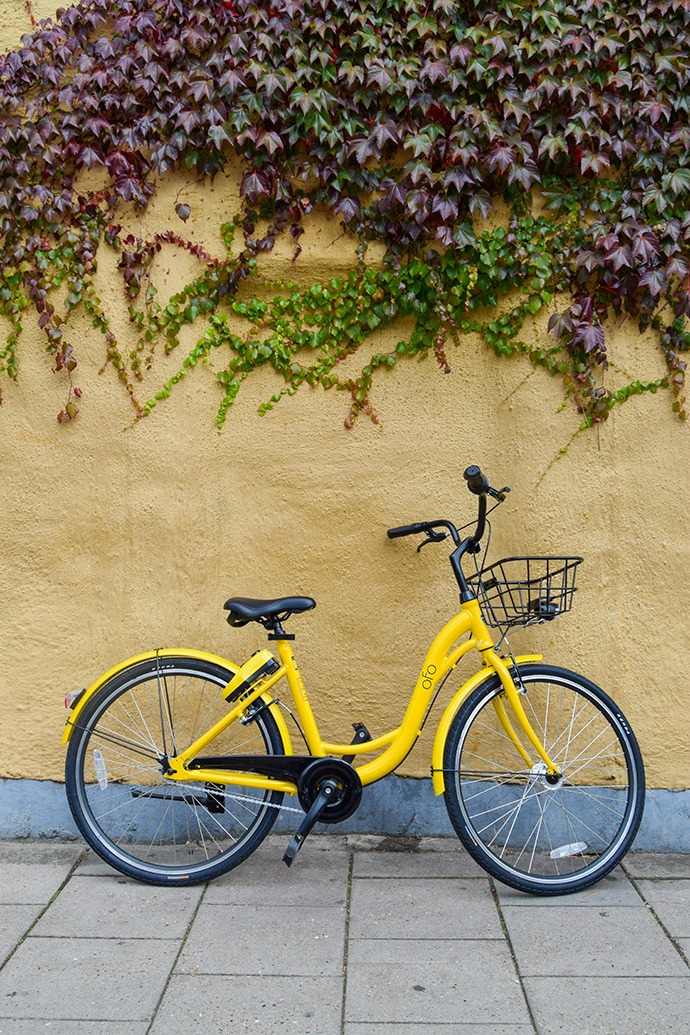 Discover Oxford see the sights and all it has to offer by cycling around it using an Ofo bike, a free-standing bike sharing company. 