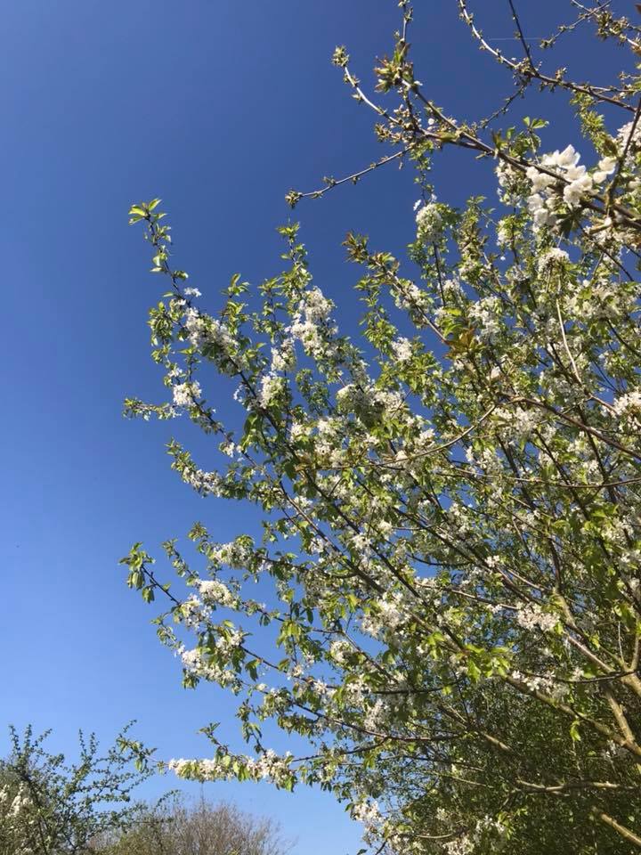 Life Lately in April