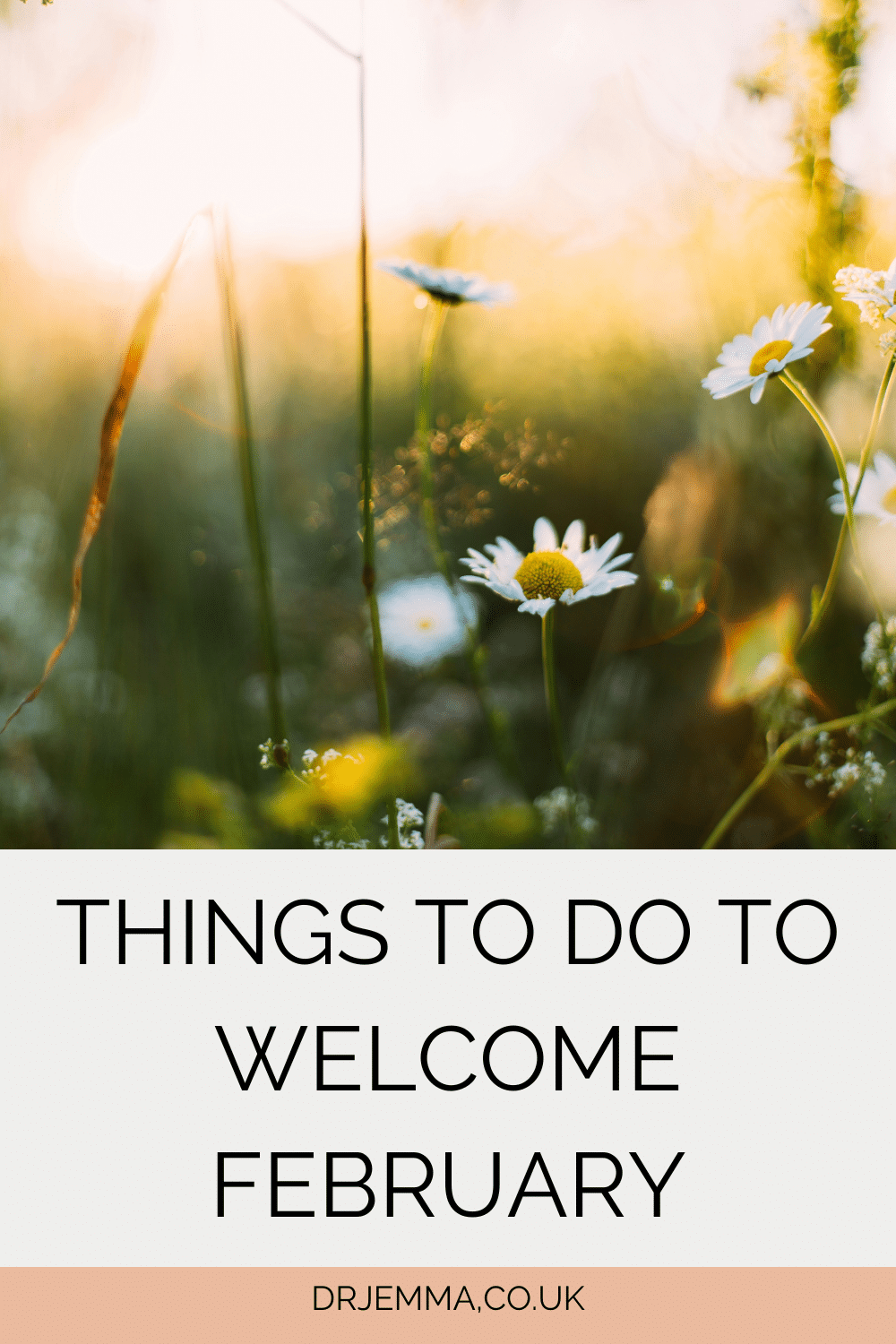 Things to do to welcome February