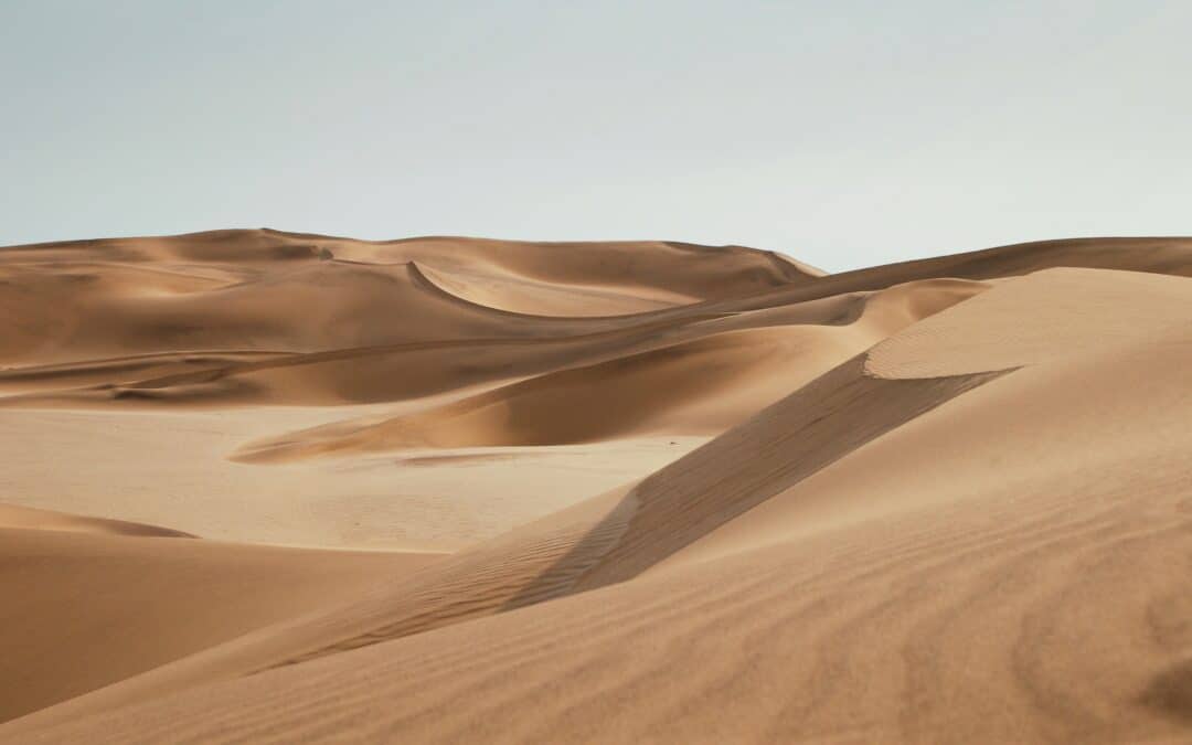 Stillness in the Sand: Travel Insights from the Emirates